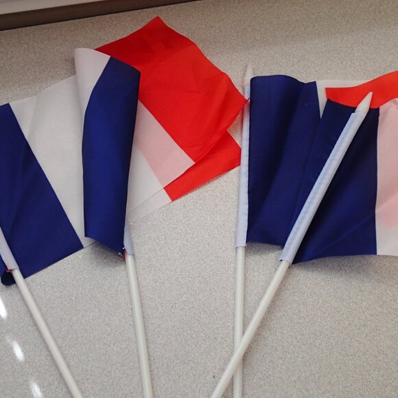 Anley France Mini Flags - Picture 1 of 4